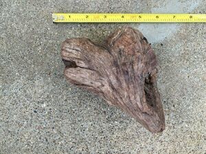 Ohio River Driftwood 6.5"x5"x3"